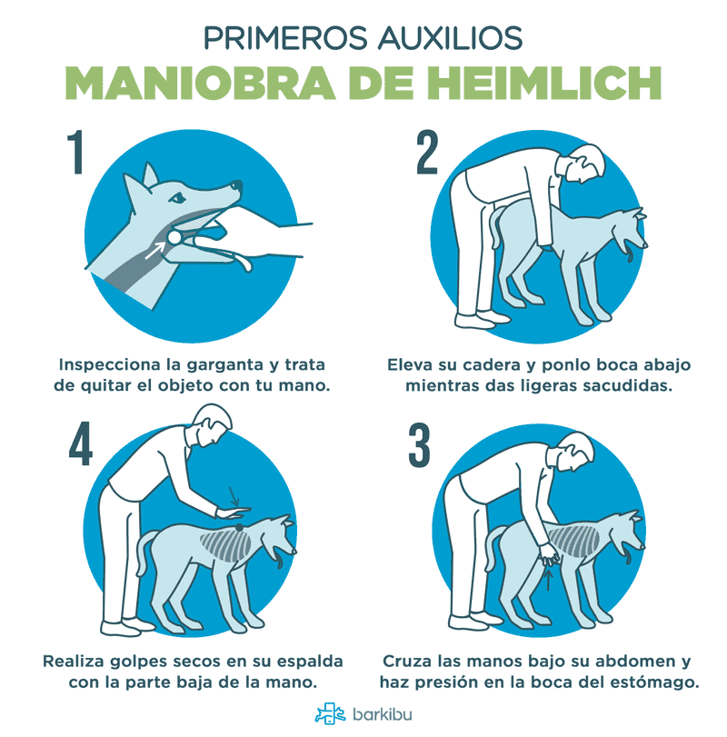 que pasa si tienes diarrea y vomito que pasa si tienes diarrea y vomito